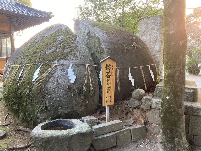 遊歩道を散策!「貫川桜並木」