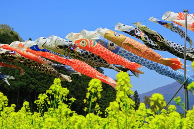 夏季休業のお知らせ